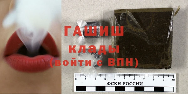 индика Белокуриха