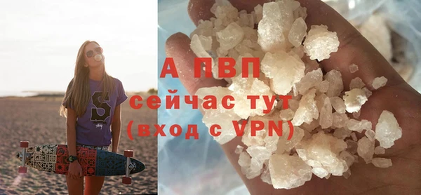 первитин Богданович
