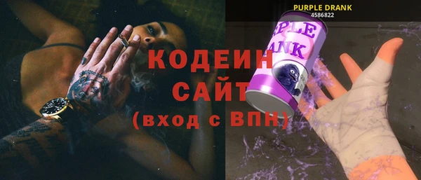 индика Белокуриха