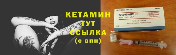 индика Белокуриха