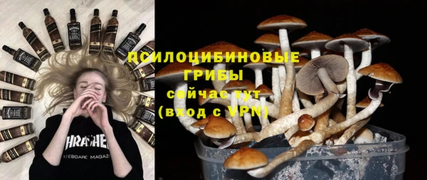 бошки Богородицк