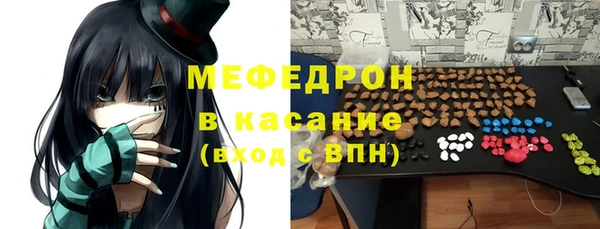 индика Белокуриха
