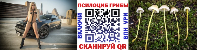 Псилоцибиновые грибы мицелий  Донецк 